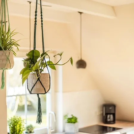 Sonnenburg Ruegen Appartamento