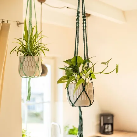 Sonnenburg Ruegen Appartamento *